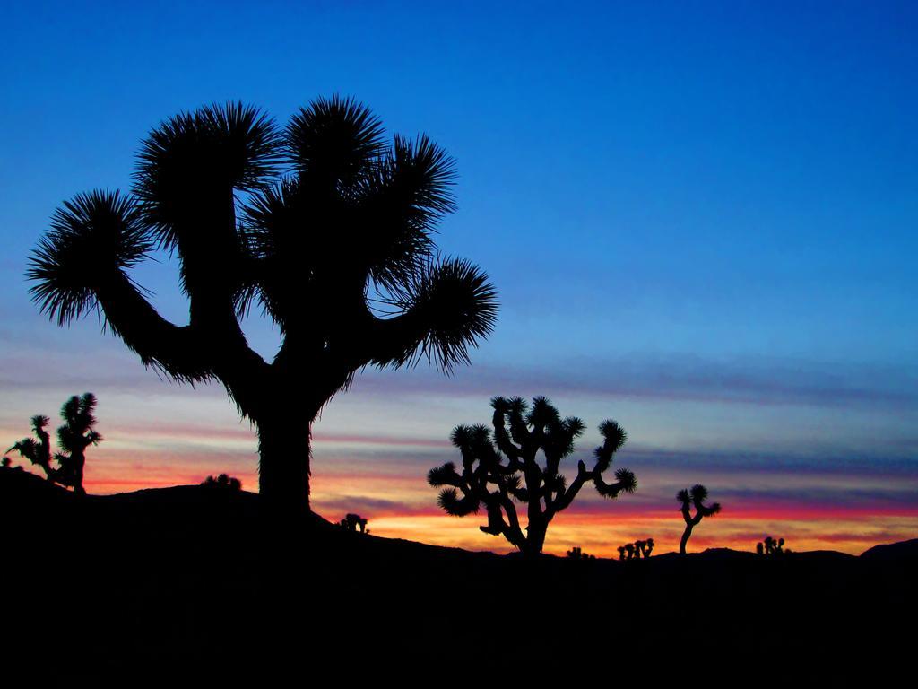 Raintree'S Cimarron Golf Resort Palm Springs Cathedral City Ngoại thất bức ảnh