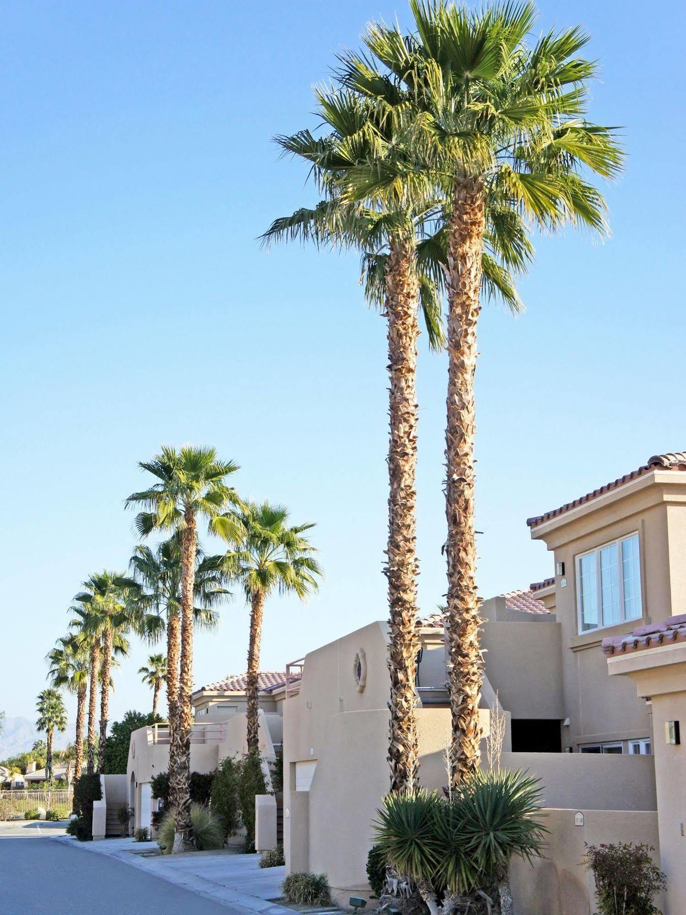 Raintree'S Cimarron Golf Resort Palm Springs Cathedral City Ngoại thất bức ảnh